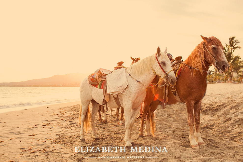 Sunset on the beach, horses, Puerto Vallarta, Mexico, Destination wedding photographer Elizabeth Medina.