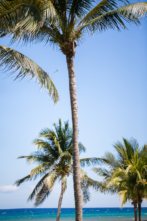  destination wedding gran velas_011_ Gran Velas Riviera Maya Wedding Photographer, Sarah and Vincent  