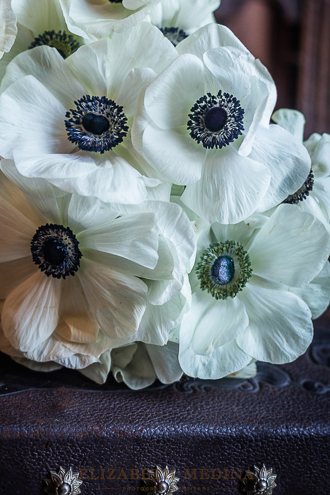  elizabethmedina_mexico_wedding_photographer_0005 Wedding Photography, Merida Hacienda Inspo  